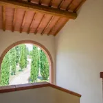 Il Felciaione-30 By Interhome *